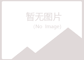 大庆红岗沉沦化学有限公司